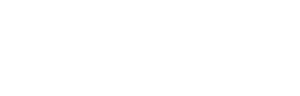 Domino Insurance Agency - Logo 500 White